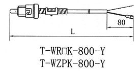 压簧式热电偶(阻) T-WR□K-800-Y T-WZPK-800-Y